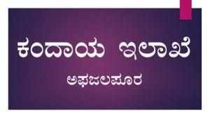ಮುಳ್ಳು ಚುಚ್ಚಿದರೂ ಅಂಗವೈಕಲ್ಯ ಪಿಂಚಣಿ ಮಂಜೂರು: ಕಂದಾಯ ಇಲಾಖೆ ಅಫಜಲಪೂರ